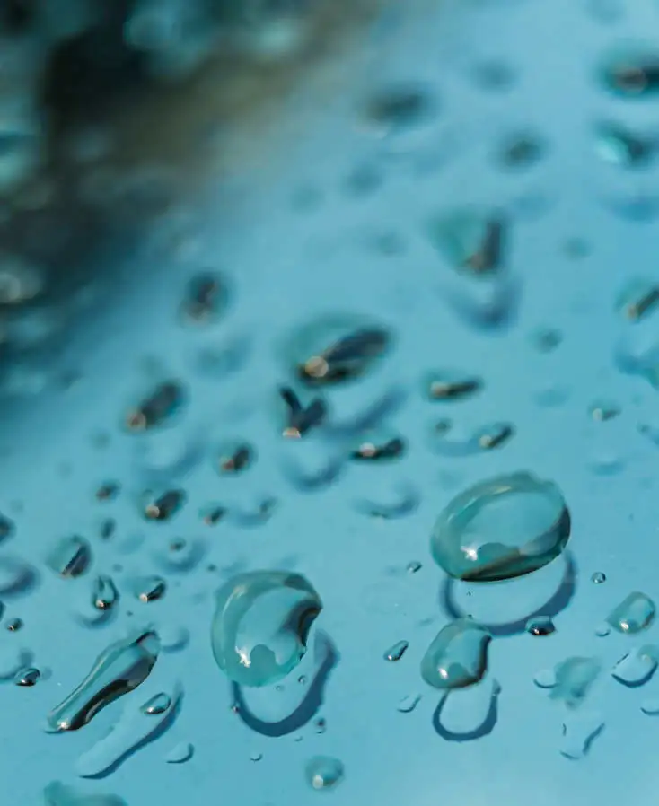 Windshield Protection